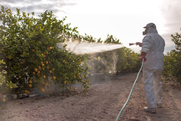 Pest Prevention Services in Pearsall, TX
