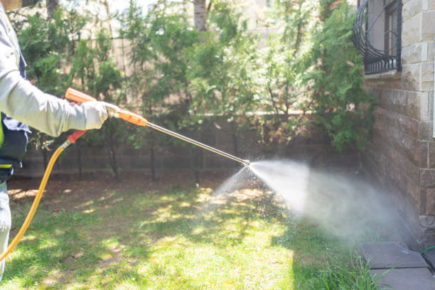 Best Mosquito Control Services  in Pearsall, TX
