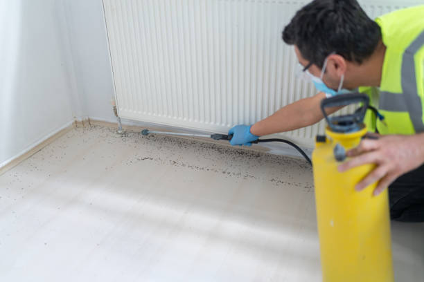 Trusted Pearsall, TX Pest Control Experts