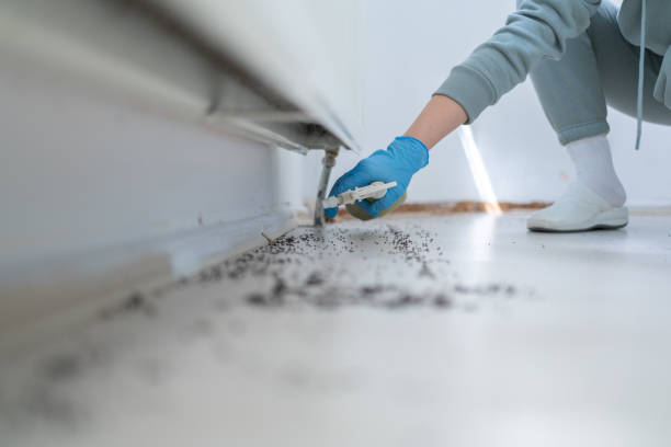 Best Cockroach Control Services  in Pearsall, TX