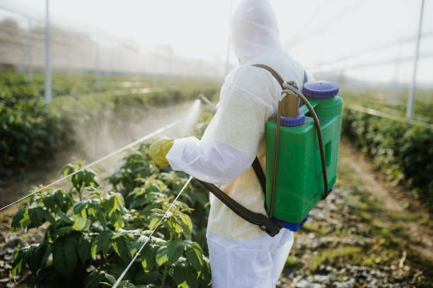Best Emergency Pest Control  in Pearsall, TX